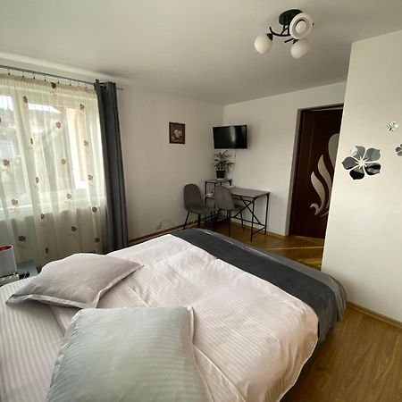 Hotel Casa Irina Mînăstirea Humorului Zewnętrze zdjęcie