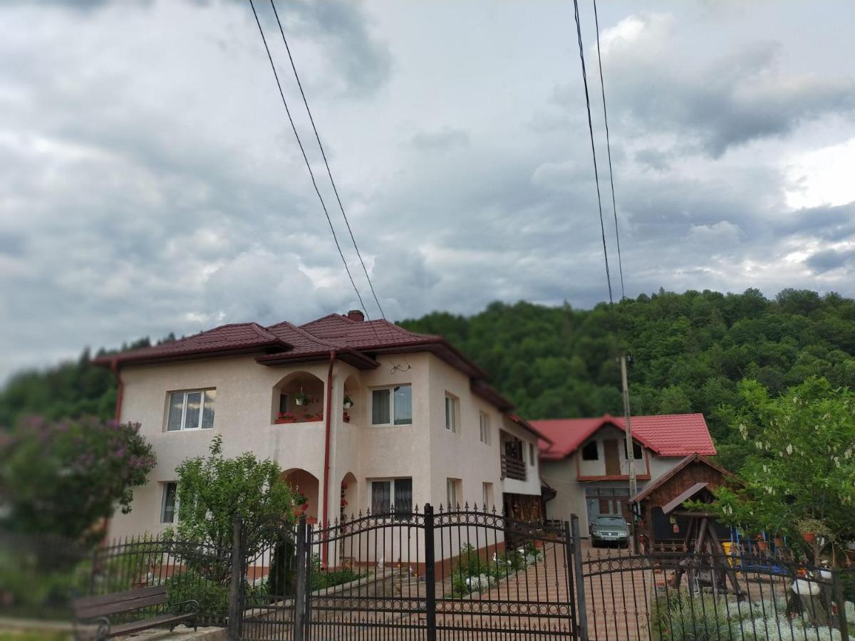 Hotel Casa Irina Mînăstirea Humorului Zewnętrze zdjęcie