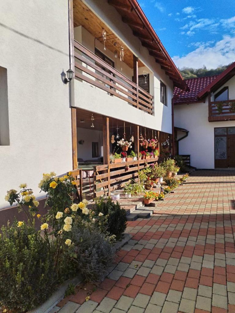 Hotel Casa Irina Mînăstirea Humorului Zewnętrze zdjęcie
