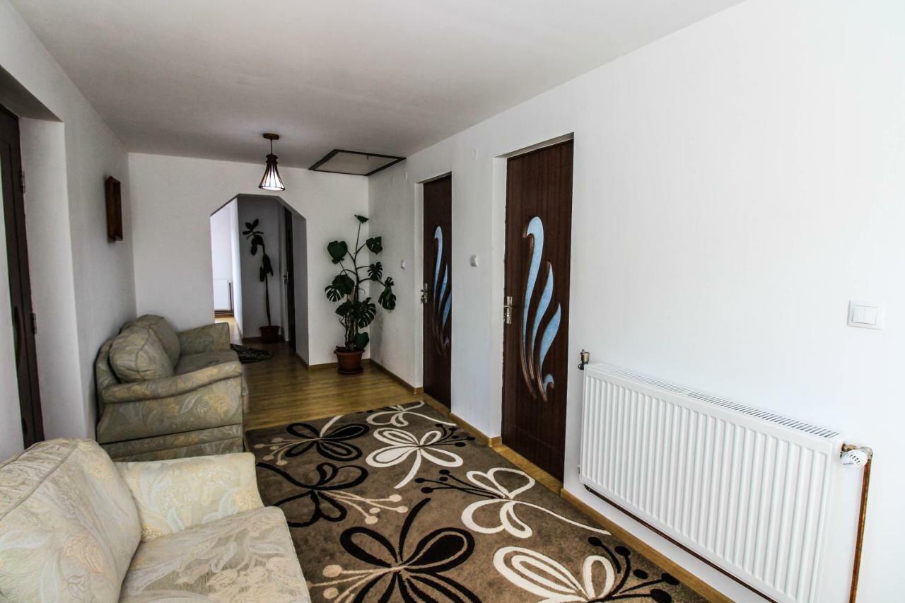 Hotel Casa Irina Mînăstirea Humorului Zewnętrze zdjęcie